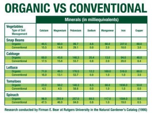 Organic food shopping ingredients versus conventional